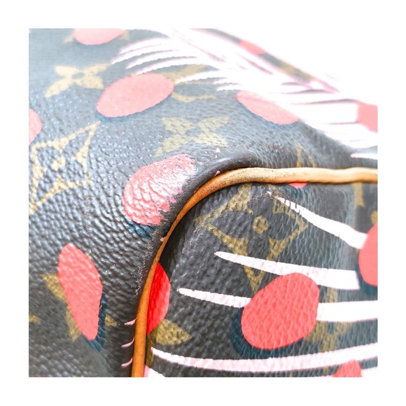 Louis Vuitton Jungle Palm Spring Speedy 30 - Picture 11 of 16